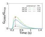 Model Quantification of Direction Selectivity in Starburst Amacrine Cells in the Mammalian Retina